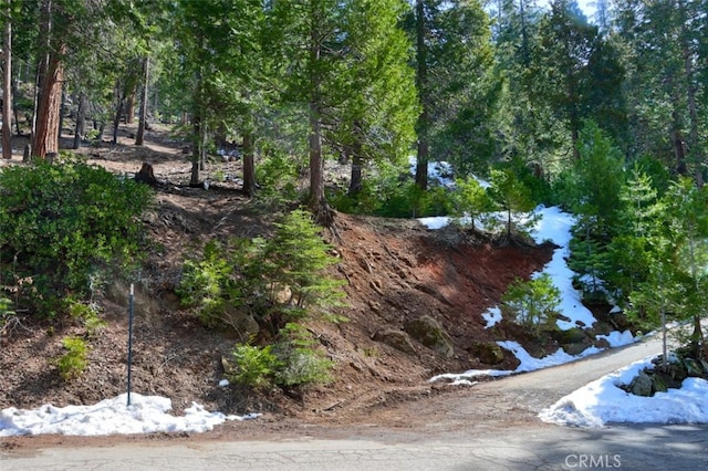 7220 Yosemite Park Way, Yosemite, CA 95389
