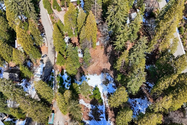 7220 Yosemite Park Way, Yosemite, CA 95389