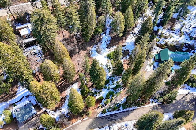 7220 Yosemite Park Way, Yosemite, CA 95389