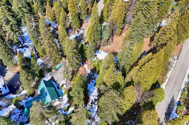 7220 Yosemite Park Way, Yosemite, CA 95389