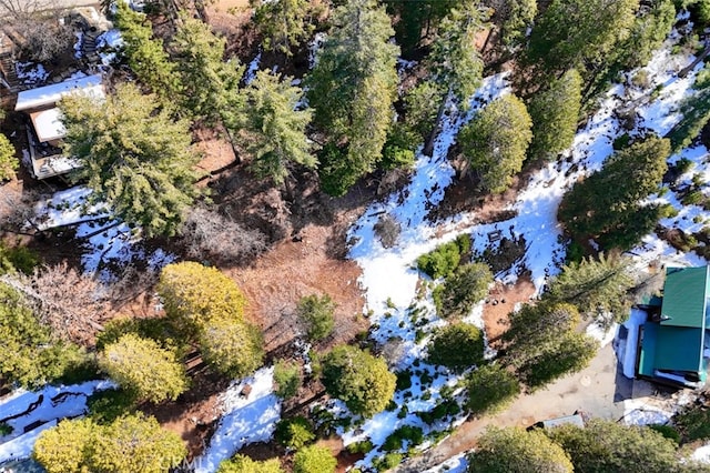 7220 Yosemite Park Way, Yosemite, CA 95389