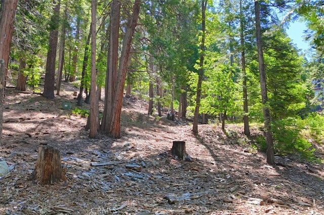 7220 Yosemite Park Way, Yosemite, CA 95389