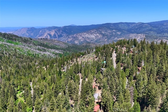 7220 Yosemite Park Way, Yosemite, CA 95389