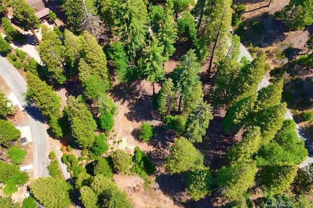 7220 Yosemite Park Way, Yosemite, CA 95389