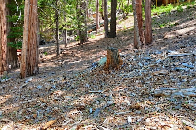 7220 Yosemite Park Way, Yosemite, CA 95389