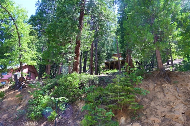 7220 Yosemite Park Way, Yosemite, CA 95389