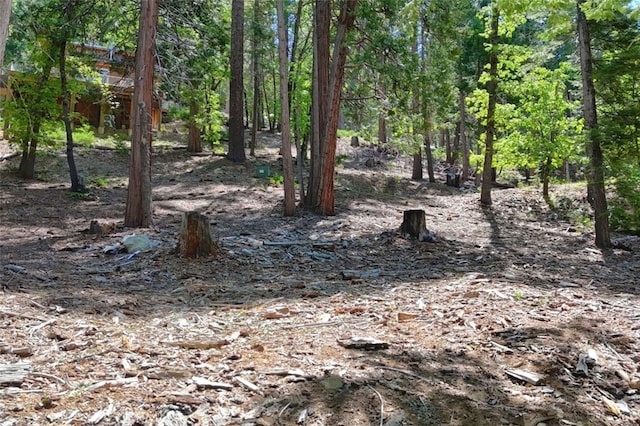 7220 Yosemite Park Way, Yosemite, CA 95389