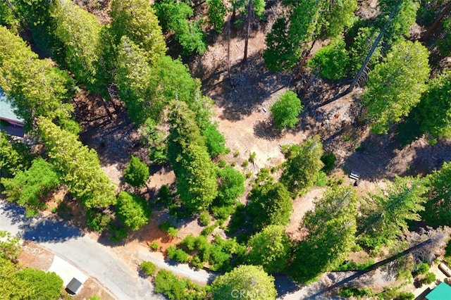 7220 Yosemite Park Way, Yosemite, CA 95389