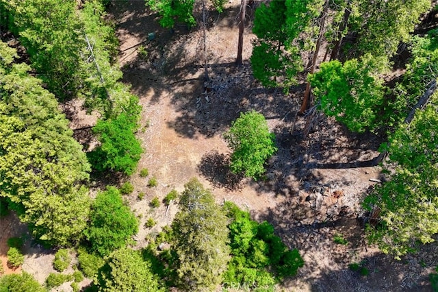7220 Yosemite Park Way, Yosemite, CA 95389