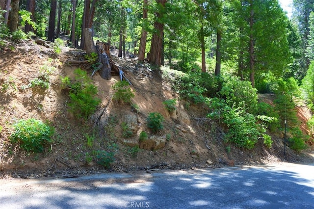 7220 Yosemite Park Way, Yosemite, CA 95389