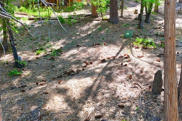 7220 Yosemite Park Way, Yosemite, CA 95389