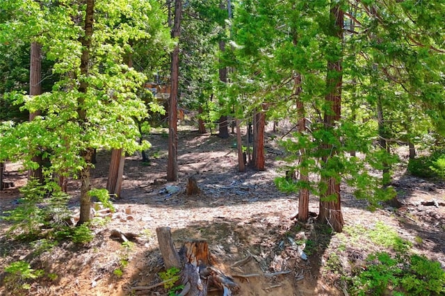 7220 Yosemite Park Way, Yosemite, CA 95389