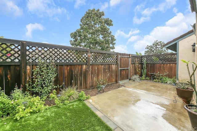 view of yard with a patio and a fenced backyard