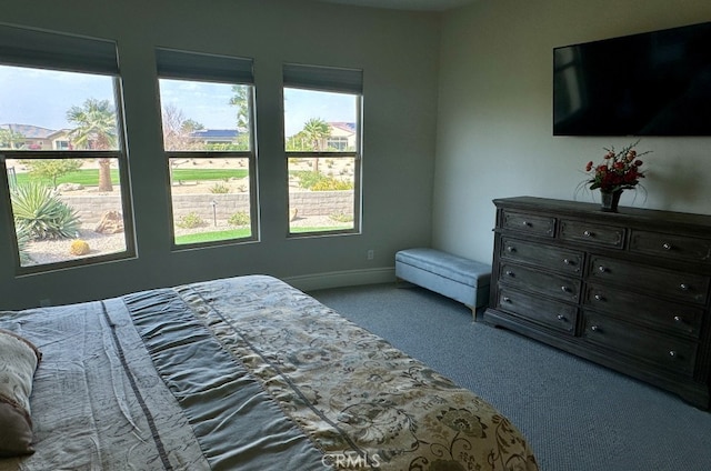 bedroom with baseboards and carpet floors