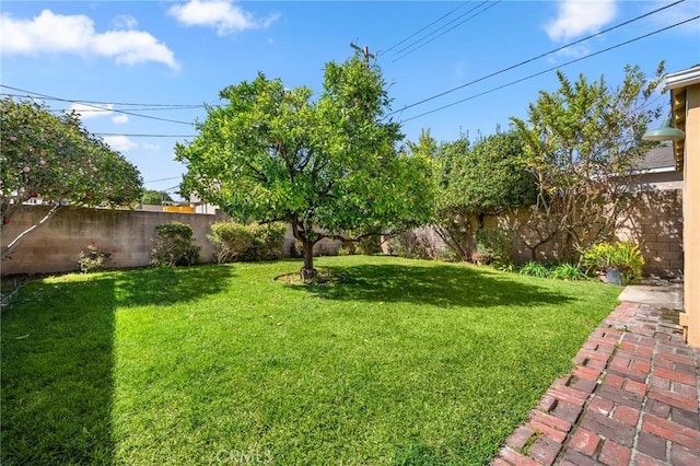 view of yard with a fenced backyard