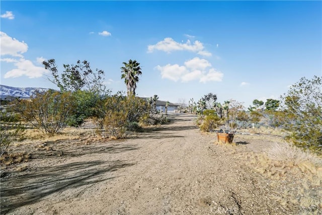 view of road with dirt driveway