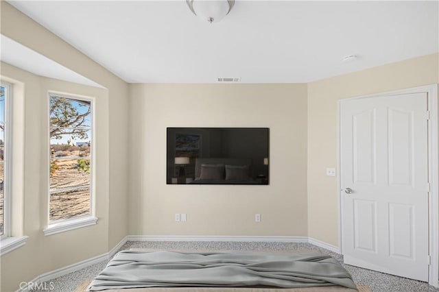 interior space with multiple windows, baseboards, visible vents, and carpet floors