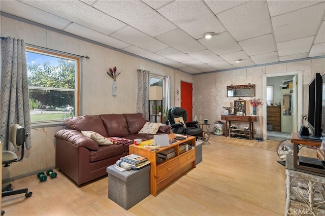 living room with light wood-style flooring and a drop ceiling