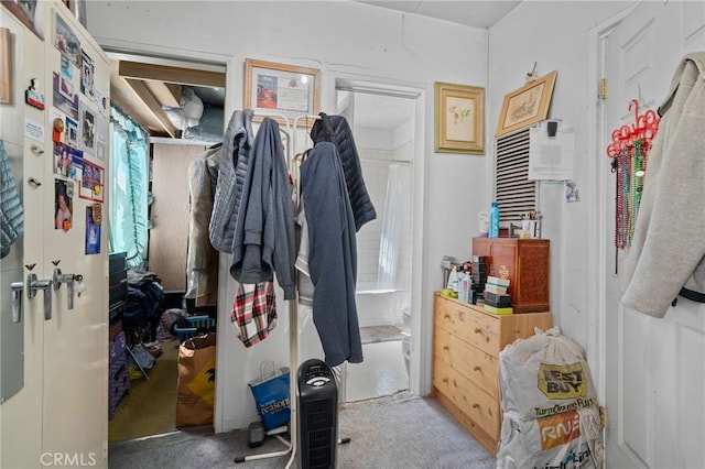 spacious closet featuring carpet flooring