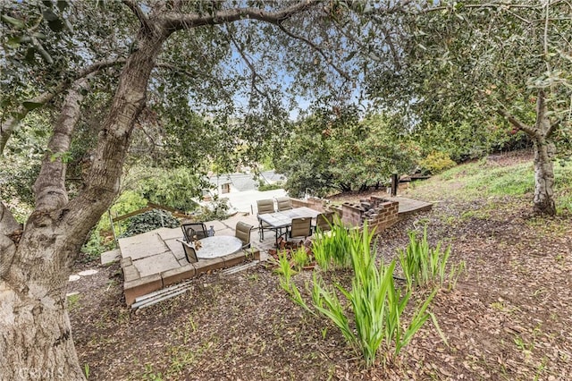 view of yard with a patio area