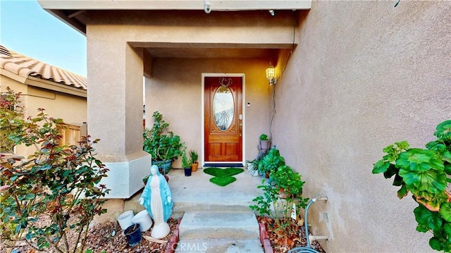 view of exterior entry featuring stucco siding