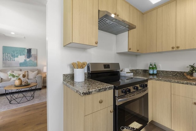 11541 Basye St, El Monte, CA 91732 - kitchen with stainless steel electric range, range hood, and light brown cabinetry
