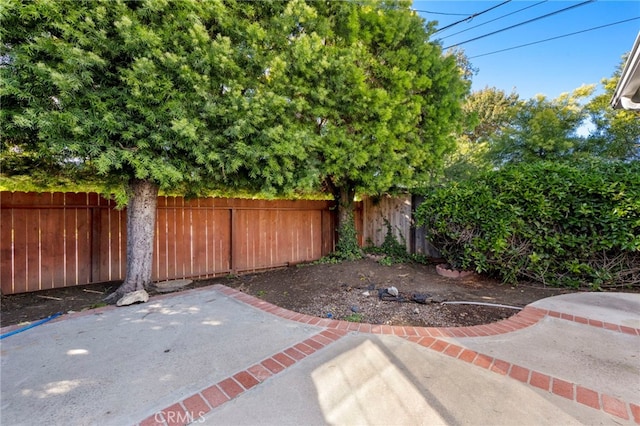 view of yard with a patio and a fenced backyard