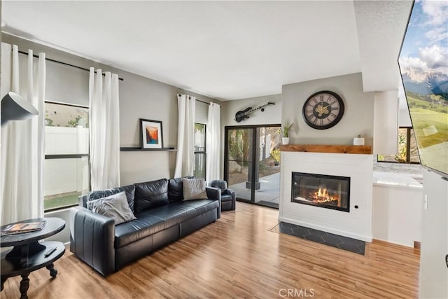 living area featuring a fireplace with flush hearth and wood finished floors