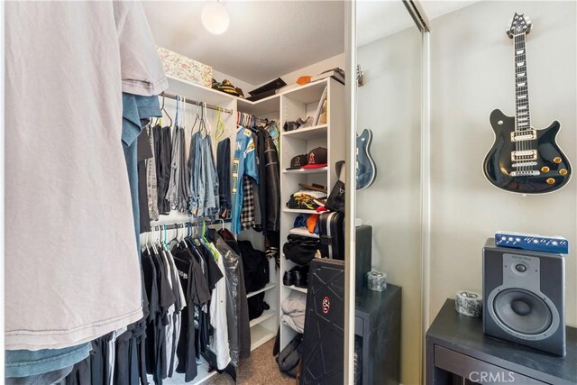 spacious closet featuring carpet floors