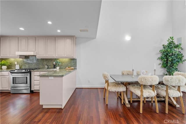 kitchen with under cabinet range hood, tasteful backsplash, dark wood-style floors, a peninsula, and gas range