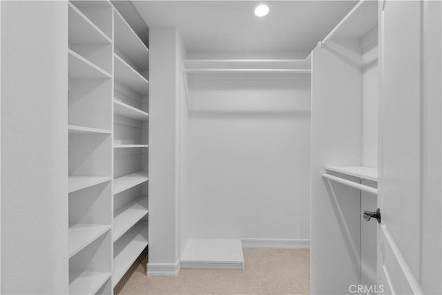 spacious closet with carpet floors