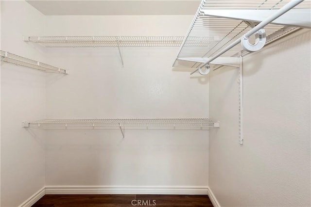 spacious closet with wood finished floors