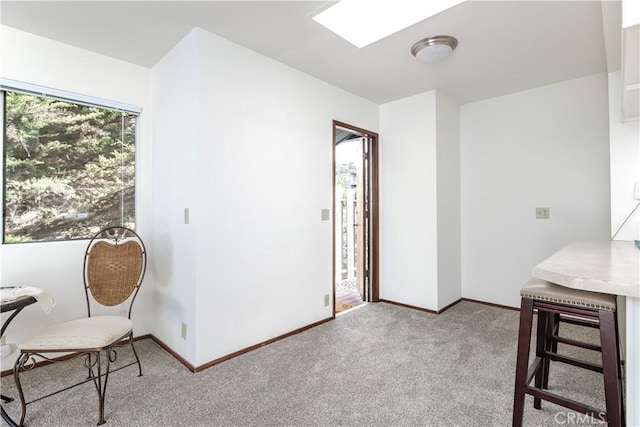 interior space with carpet and baseboards