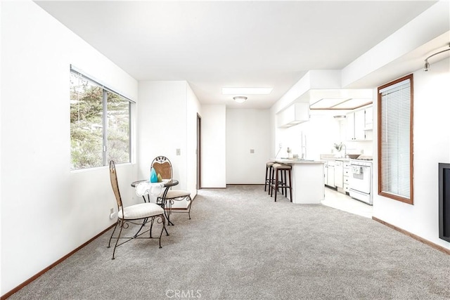 unfurnished room with baseboards and light colored carpet