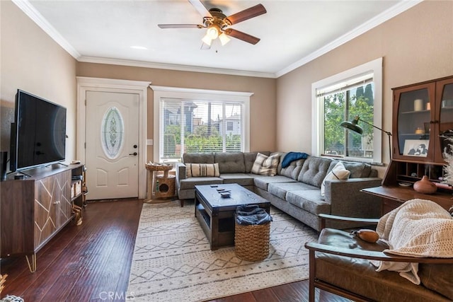 living room with dark wood-style floors, plenty of natural light, ceiling fan, and ornamental molding