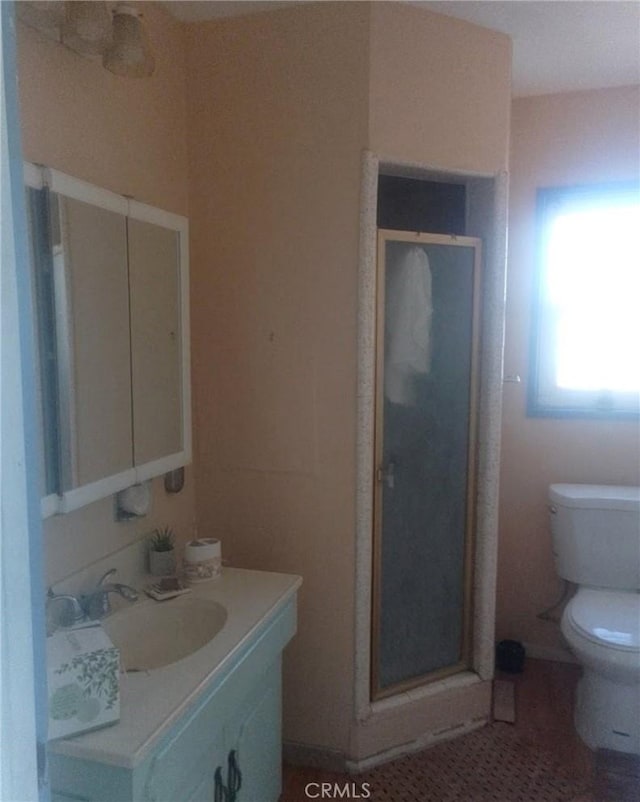 bathroom with vanity, toilet, and a stall shower