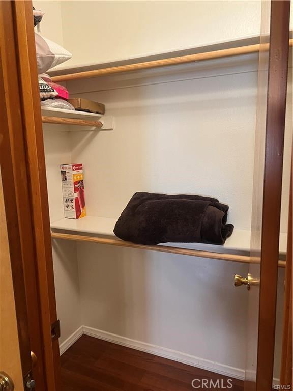 spacious closet featuring dark wood-style flooring