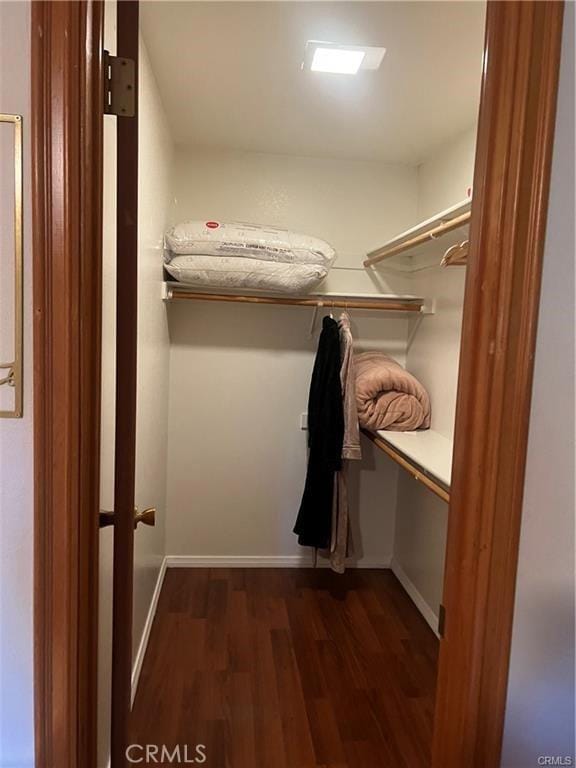 walk in closet with dark wood-style floors