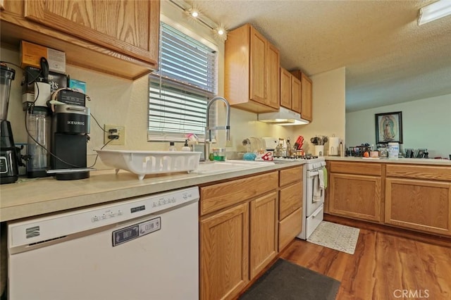 22292 N Tuolumne Rd, Twain Harte, CA 95383 - kitchen featuring a sink, a textured ceiling, wood finished floors, white appliances, and light countertops