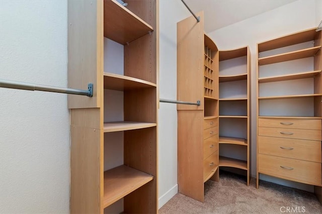 walk in closet with carpet flooring