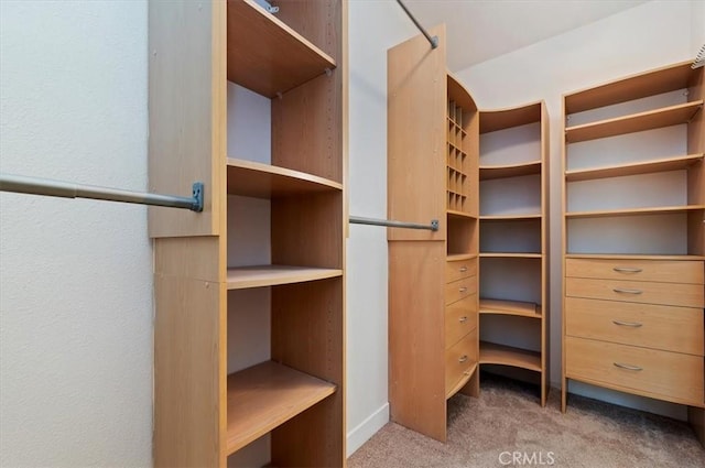 walk in closet featuring carpet floors