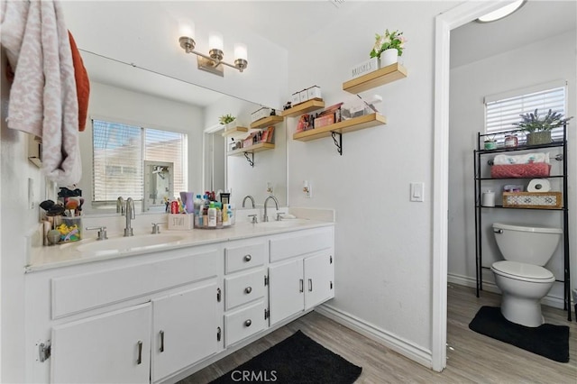 bathroom featuring double vanity, wood finished floors, baseboards, and a sink