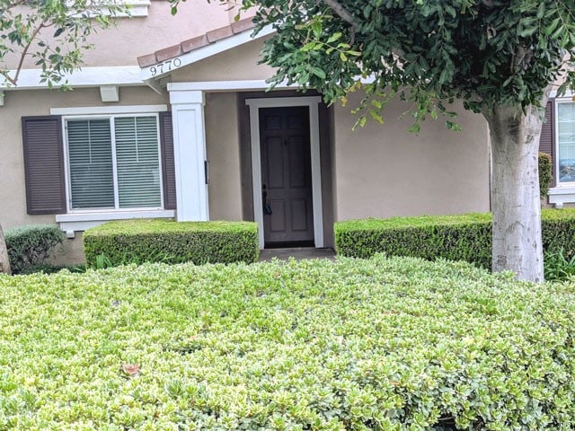 9770 Winterberry Dr, Riverside, CA 92803 - entrance to property with stucco siding