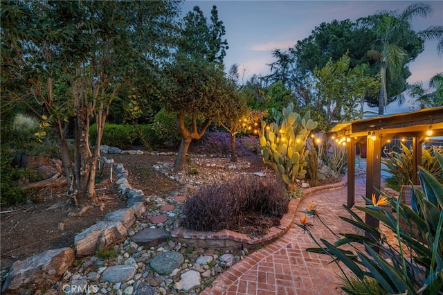 view of yard with a patio