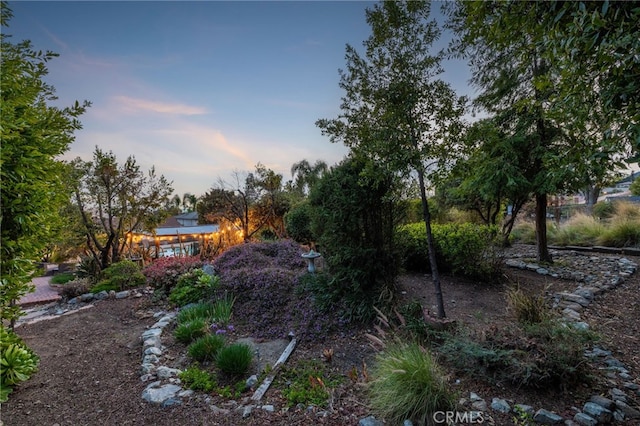 view of yard at dusk