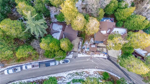 24342 Bernard Dr, Crestline, CA 92325 - photo 31