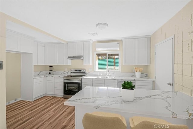 kitchen featuring light wood finished floors, under cabinet range hood, an AC wall unit, stainless steel range with electric cooktop, and a sink