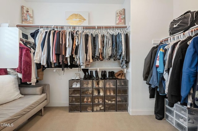 spacious closet featuring carpet floors