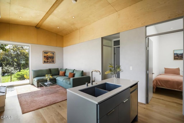 kitchen featuring a sink, light wood-type flooring, stainless steel dishwasher, and open floor plan