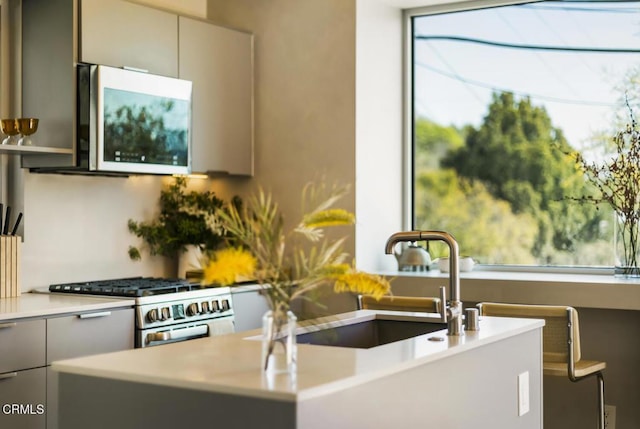 kitchen featuring stainless steel gas stove, modern cabinets, gray cabinetry, a sink, and light countertops